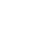 The Rules